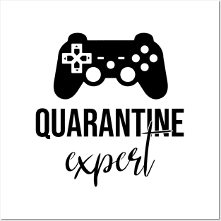 Quarantine Video Game - Play Game Expert Posters and Art